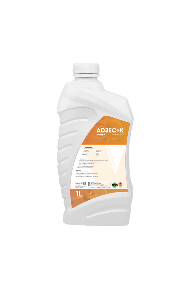 AD3EC+K