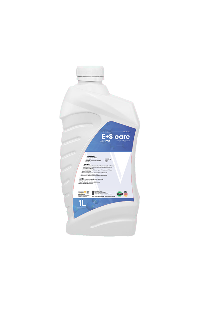 E+S care