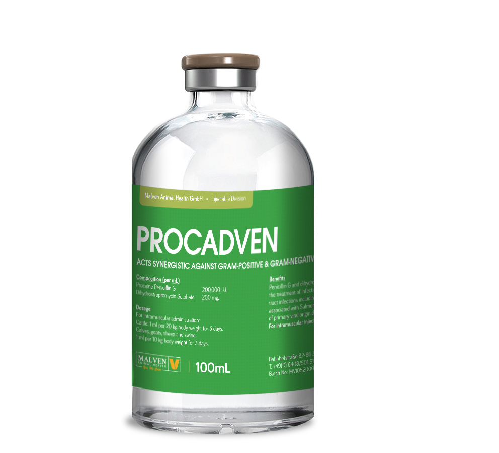 Procadven